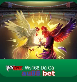 au88 bet